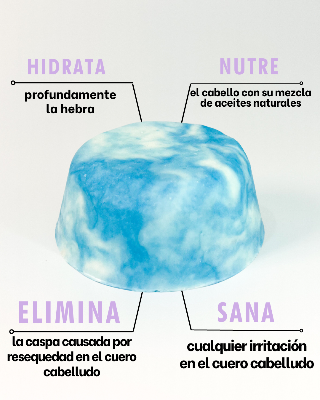 Shampoo de Máxima Hidratación