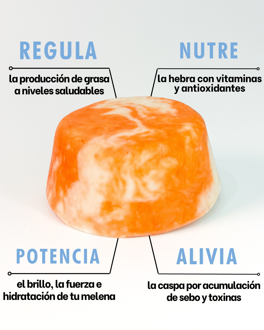 Shampoo de Equilibrio Capilar